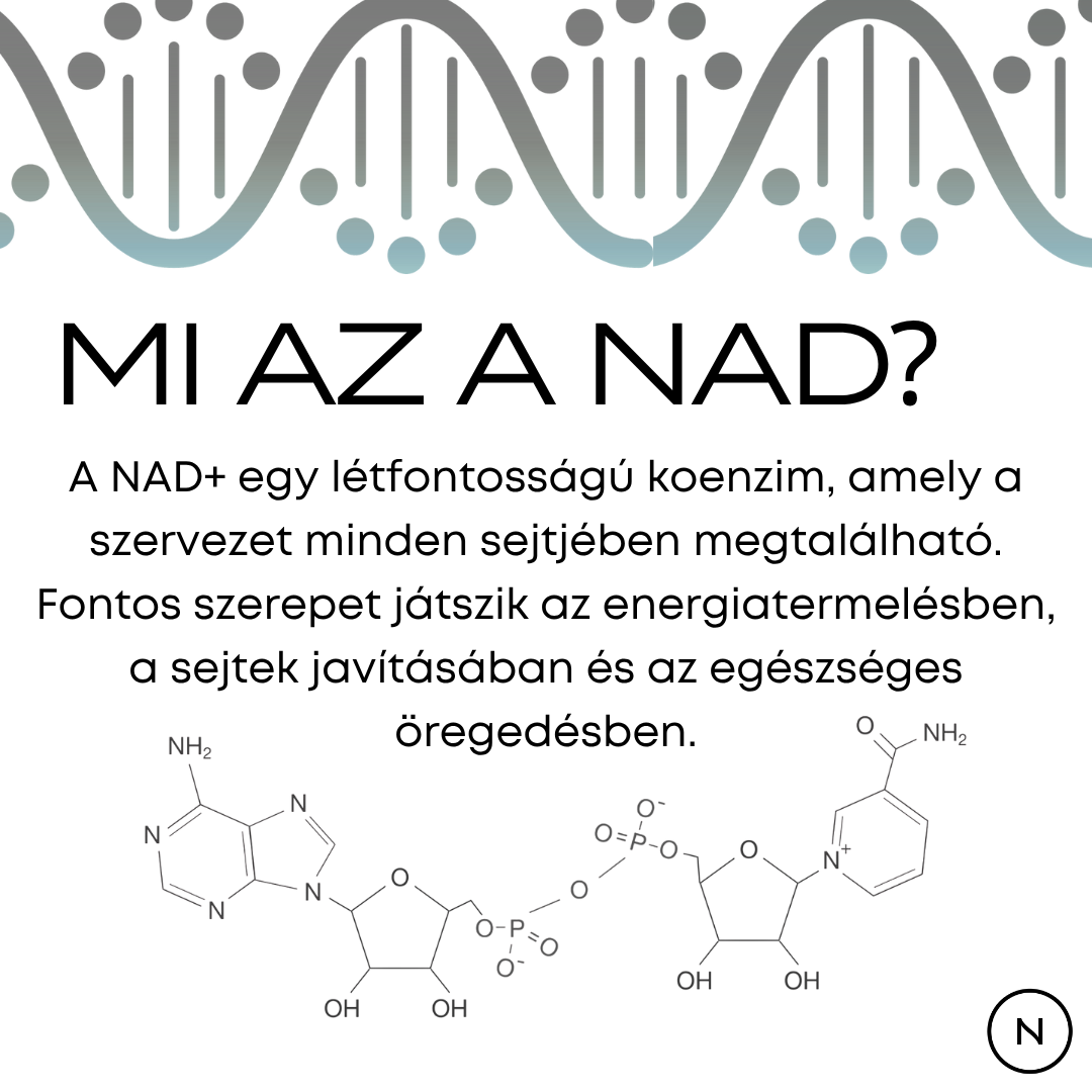 nad vitamin