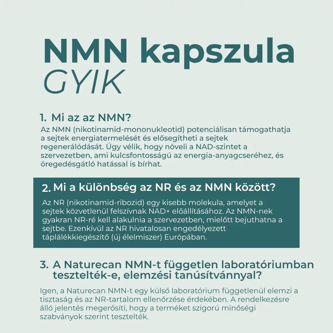 nmn gyik