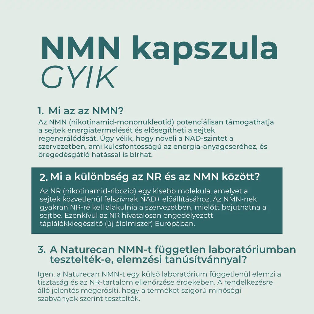 nmn gyik