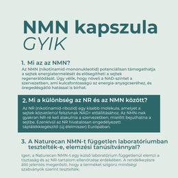 nmn gyik
