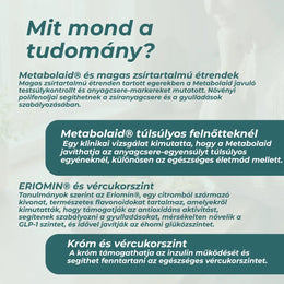 glp 1 vásárlás