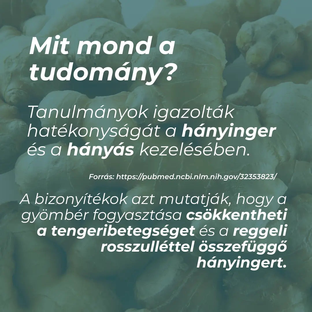 kurkuma gyömbér kapszula