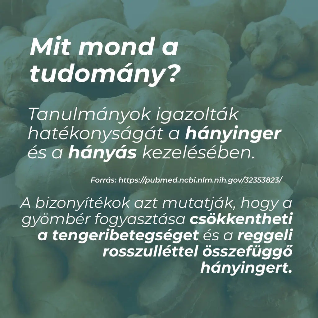 kurkuma gyömbér kapszula