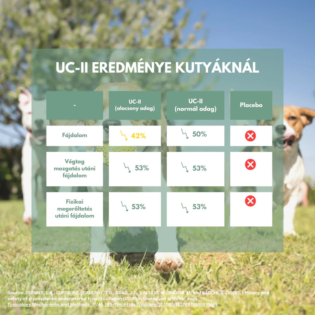 kutyáknak izületvédő