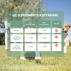 kutyáknak izületvédő