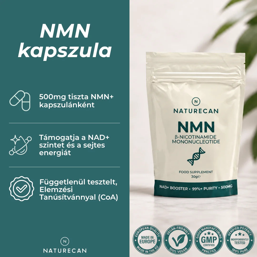 nmn por hatása