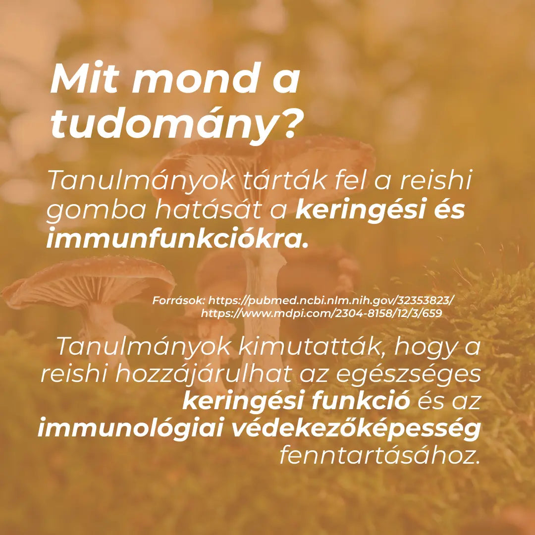 reishi kapszula