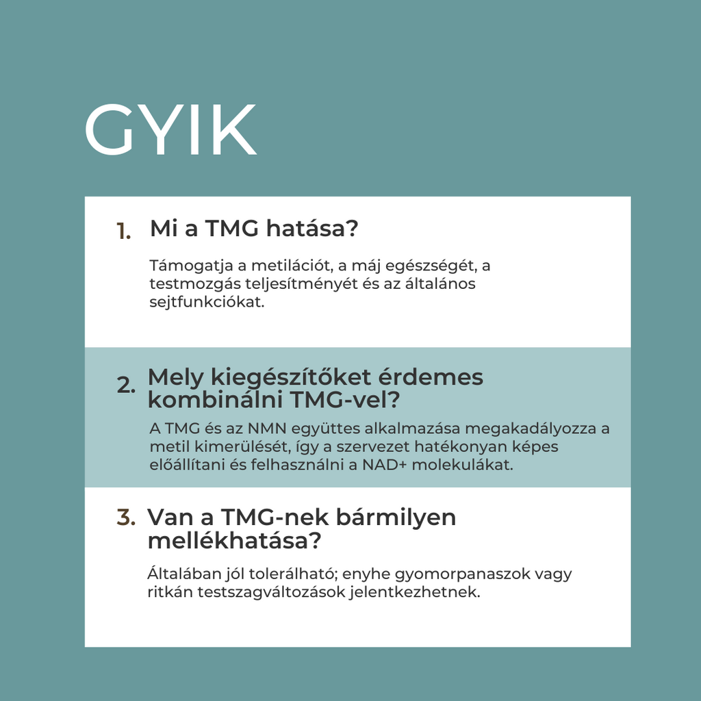 tmg gyik
