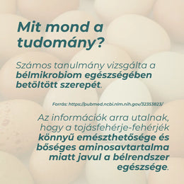 tojásfehérjepor
